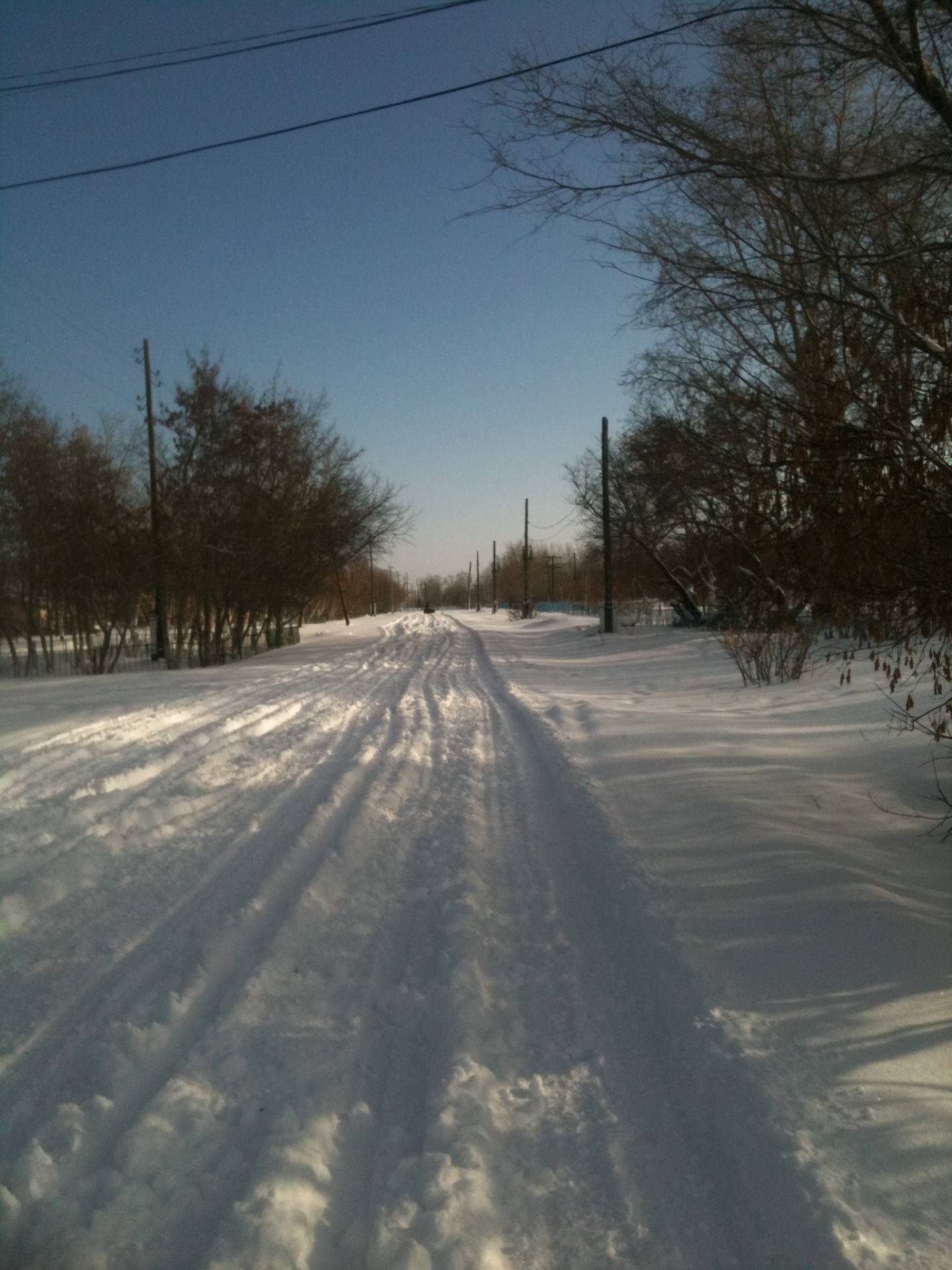 Žiema,  Snieguotas Kelias, Nemokamos Nuotraukos,  Nemokama Licenzija