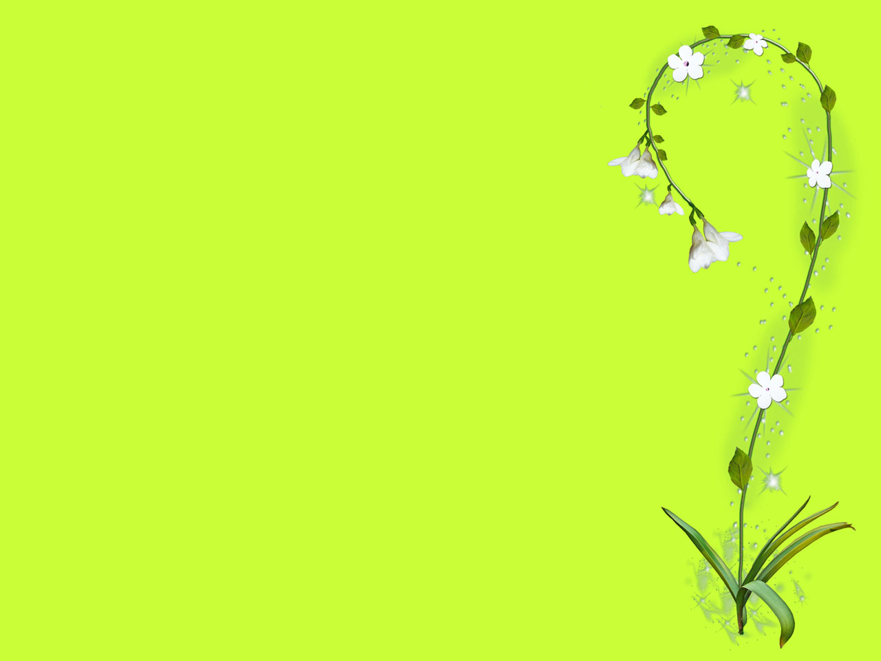 Žalias,  Gėlė,  Hortenzija,  Fėja,  Pasaka,  Hortenzijos Gėlė Žalia Fone, Nemokamos Nuotraukos,  Nemokama Licenzija