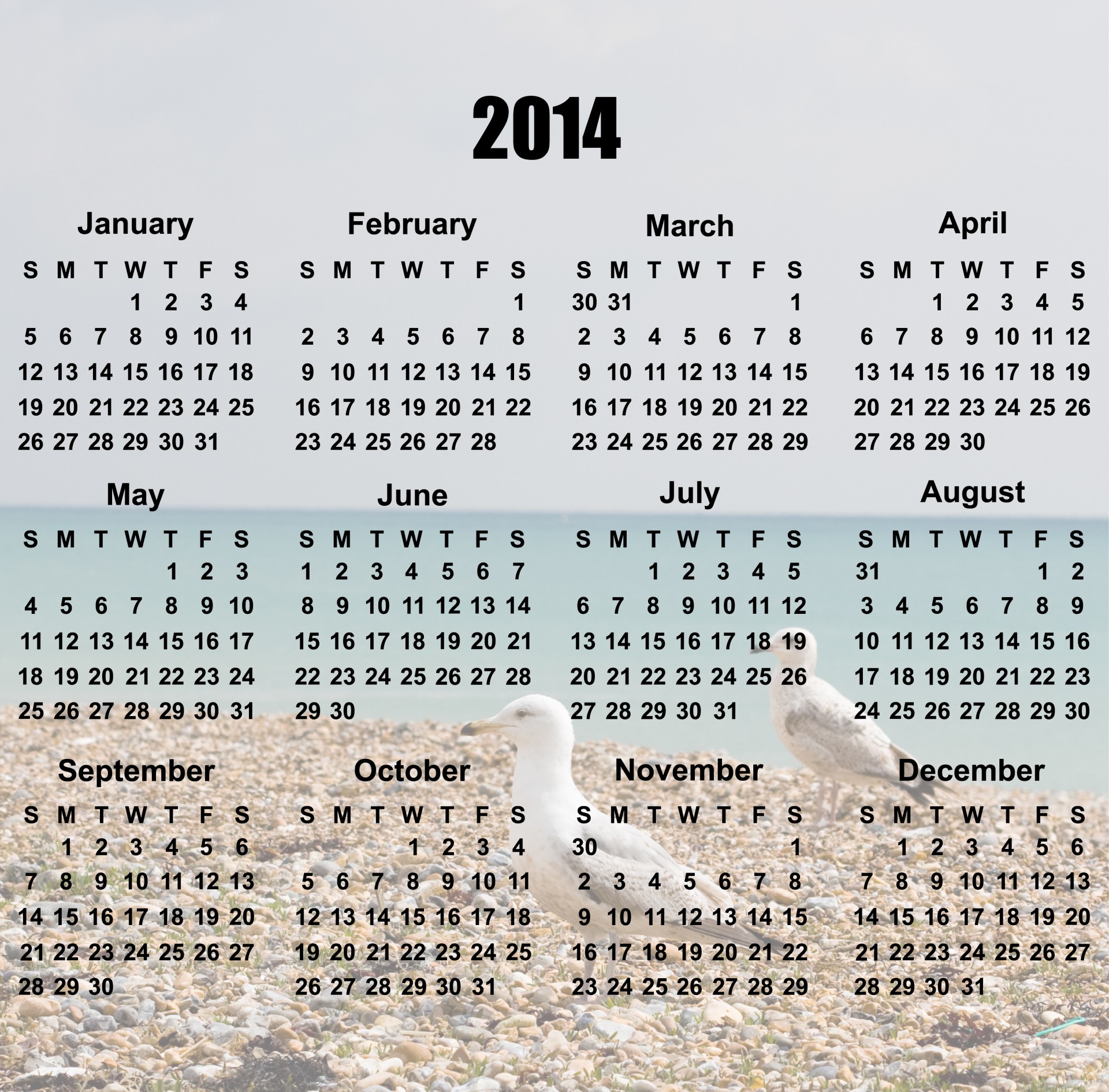 2014 & Nbsp,  Kalendorius,  2014,  Kalendorius,  Paukštis,  Paukščiai,  Kajakas,  Žuvėdros,  Papludimys,  Jūra