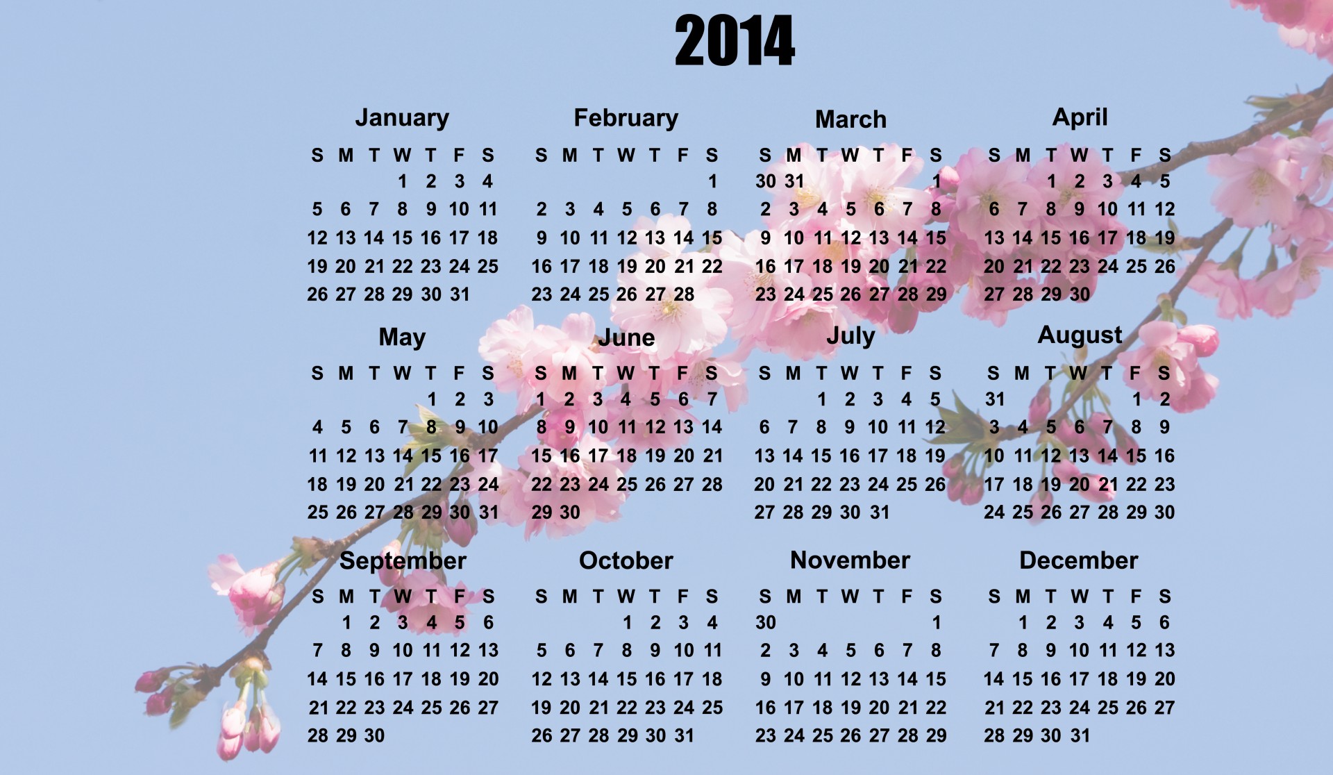 2014 & Nbsp,  Kalendorius,  2014,  Kalendorius,  Rožinis,  Žiedas,  Gėlės,  Žydi,  Gėlė,  Gėlių