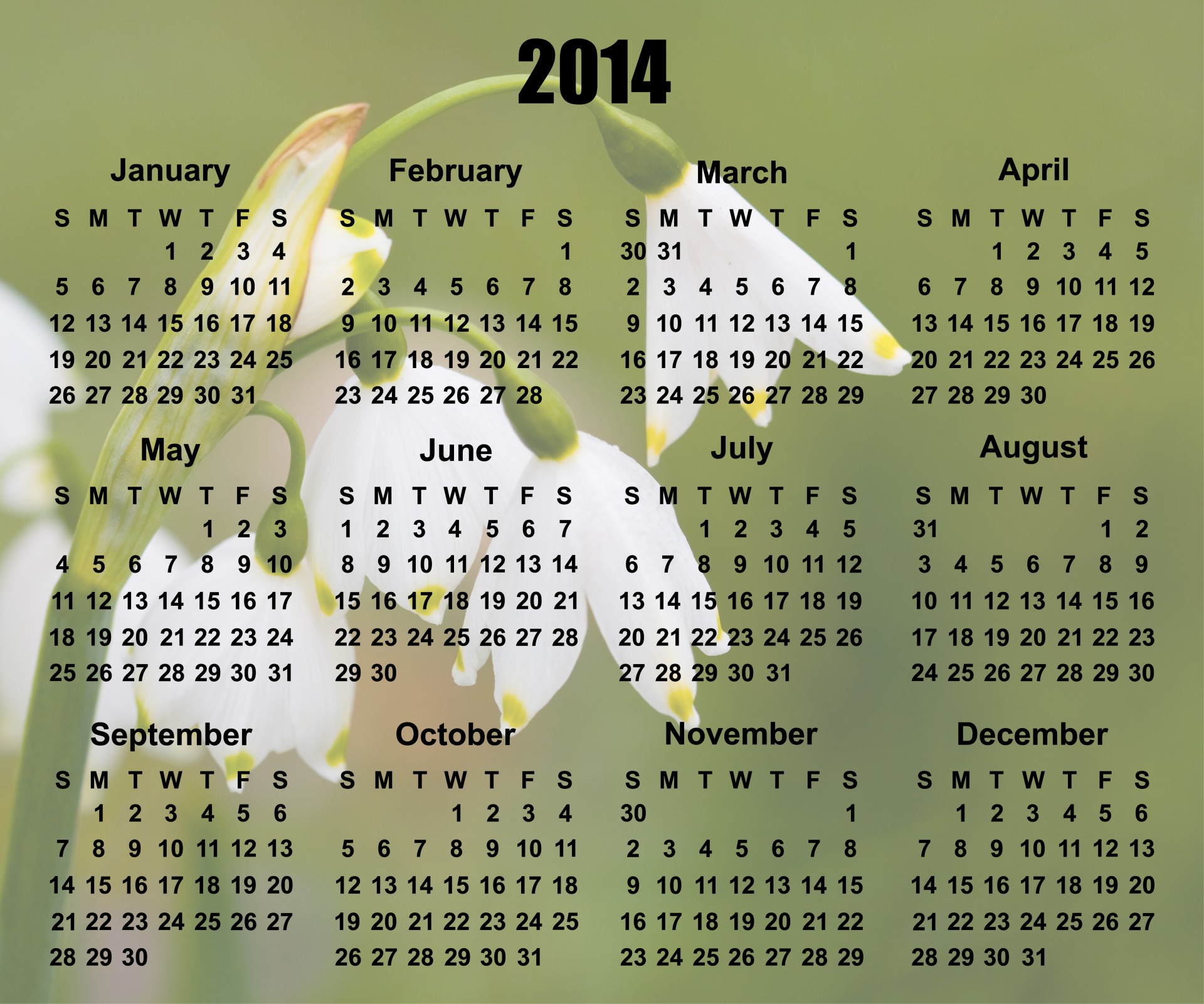 2014 & Nbsp,  Kalendorius,  2014,  Kalendorius,  Gėlė,  Gėlės,  Sniego Žiedai,  Žalias,  Balta,  Gėlių