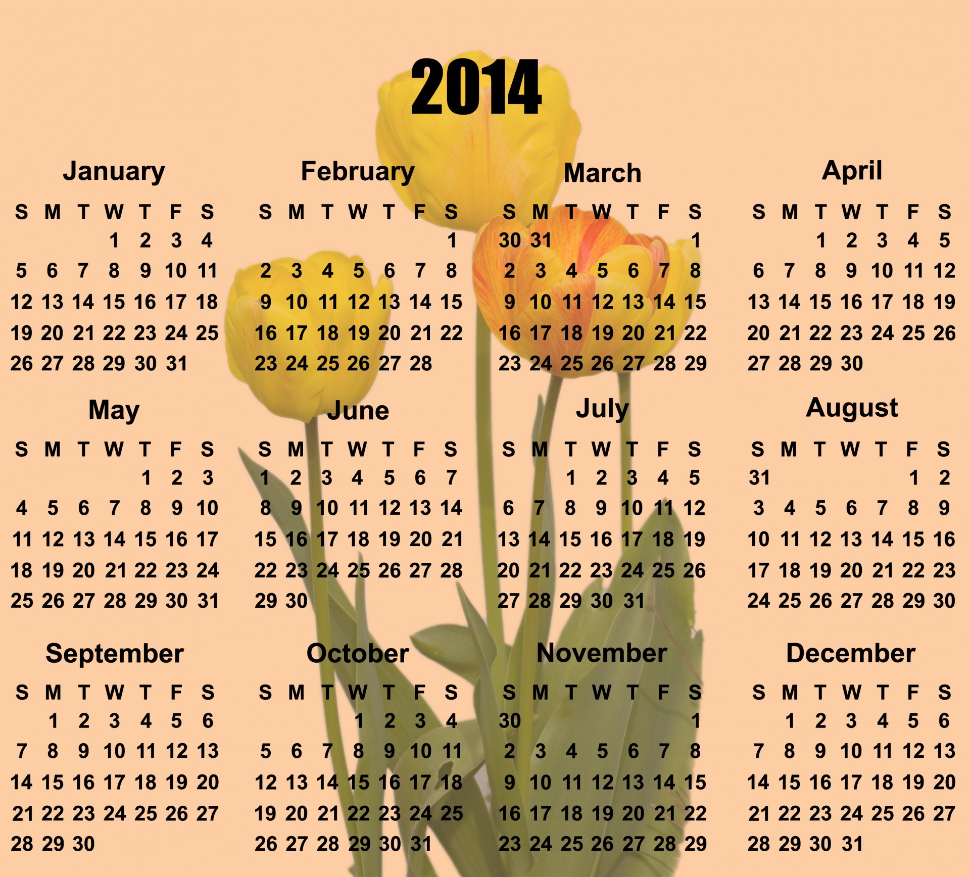 2014 & Nbsp,  Kalendorius,  2014,  Kalendorius,  Tulpė,  Tulpės,  Gėlė,  Gėlės,  Geltona,  Oranžinė