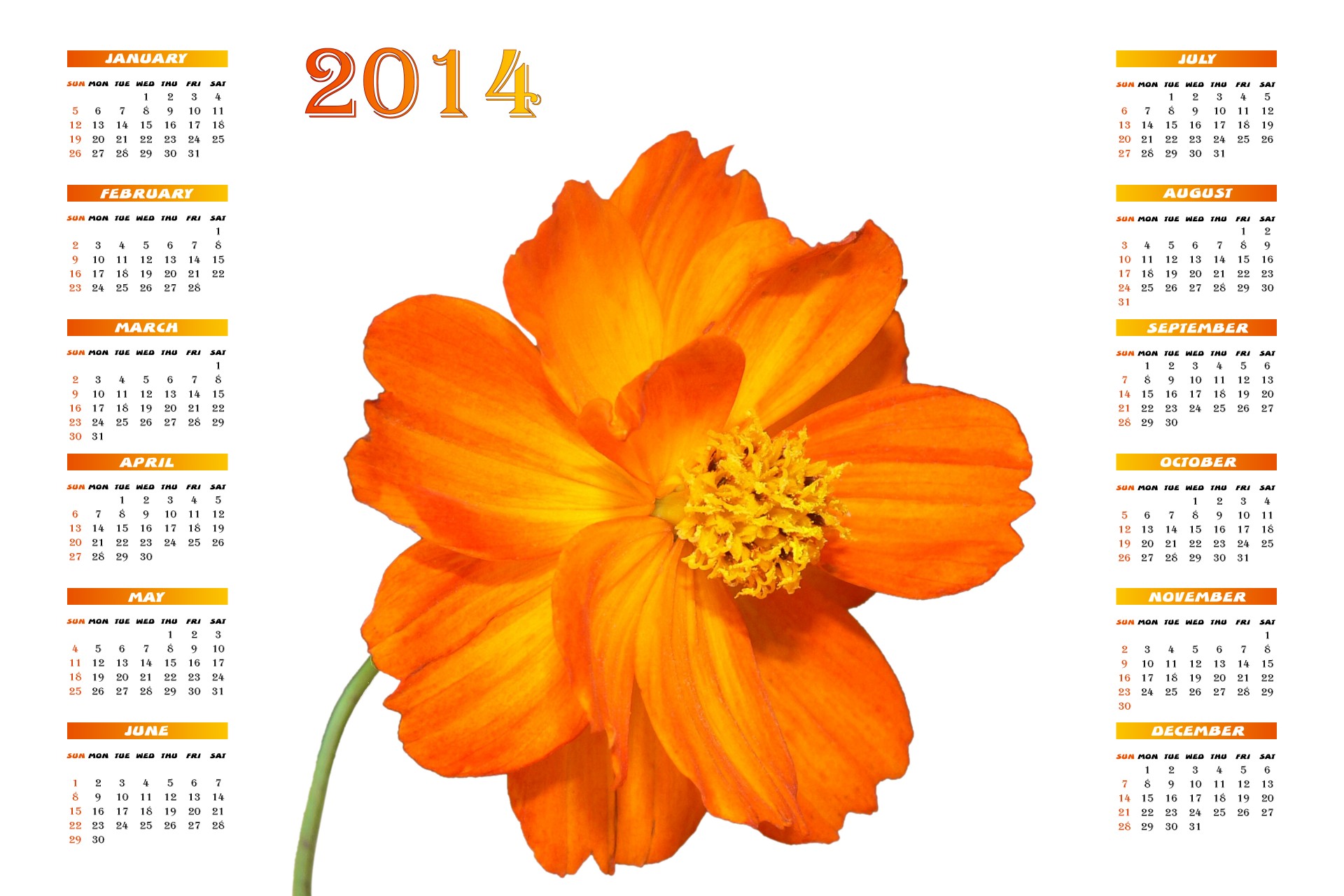 2014,  Kalendorius,  2014 & Nbsp,  Kalendorius,  Dahlia,  Gėlė,  Oranžinė,  Planuotojas,  Dienoraštis,  Tvarkaraštis