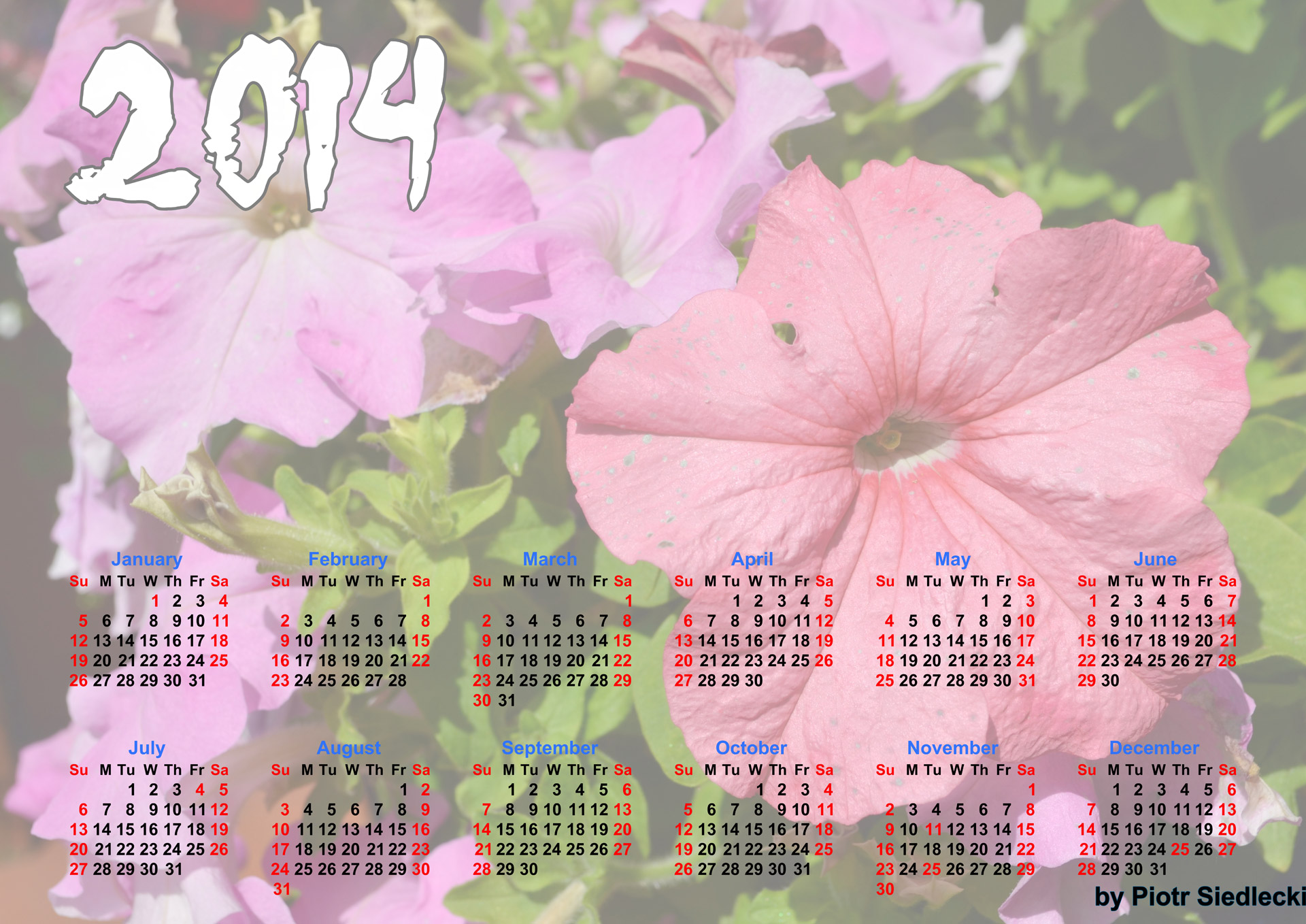 Gėlės,  Kalendorius,  2014,  Metai,  Organizatorius,  Mėnuo,  Planavimas,  Rugpjūtis,  Data,  Pirmadienį