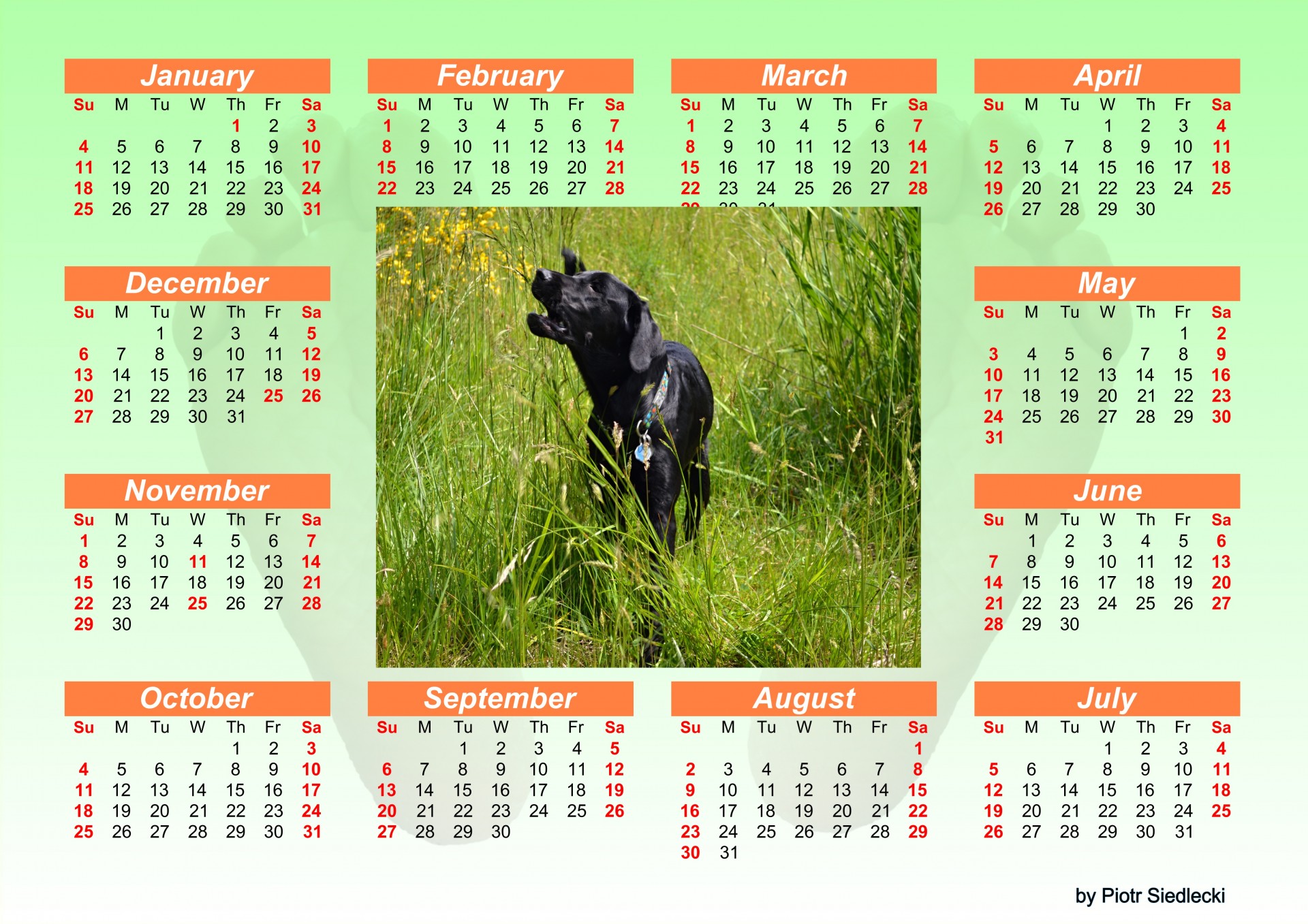 Kalendorius,  2015 M.,  Planuotojas,  Metinis,  Metai,  Darbotvarkė,  Data,  Kasdien,  Pavasaris,  Ateitis