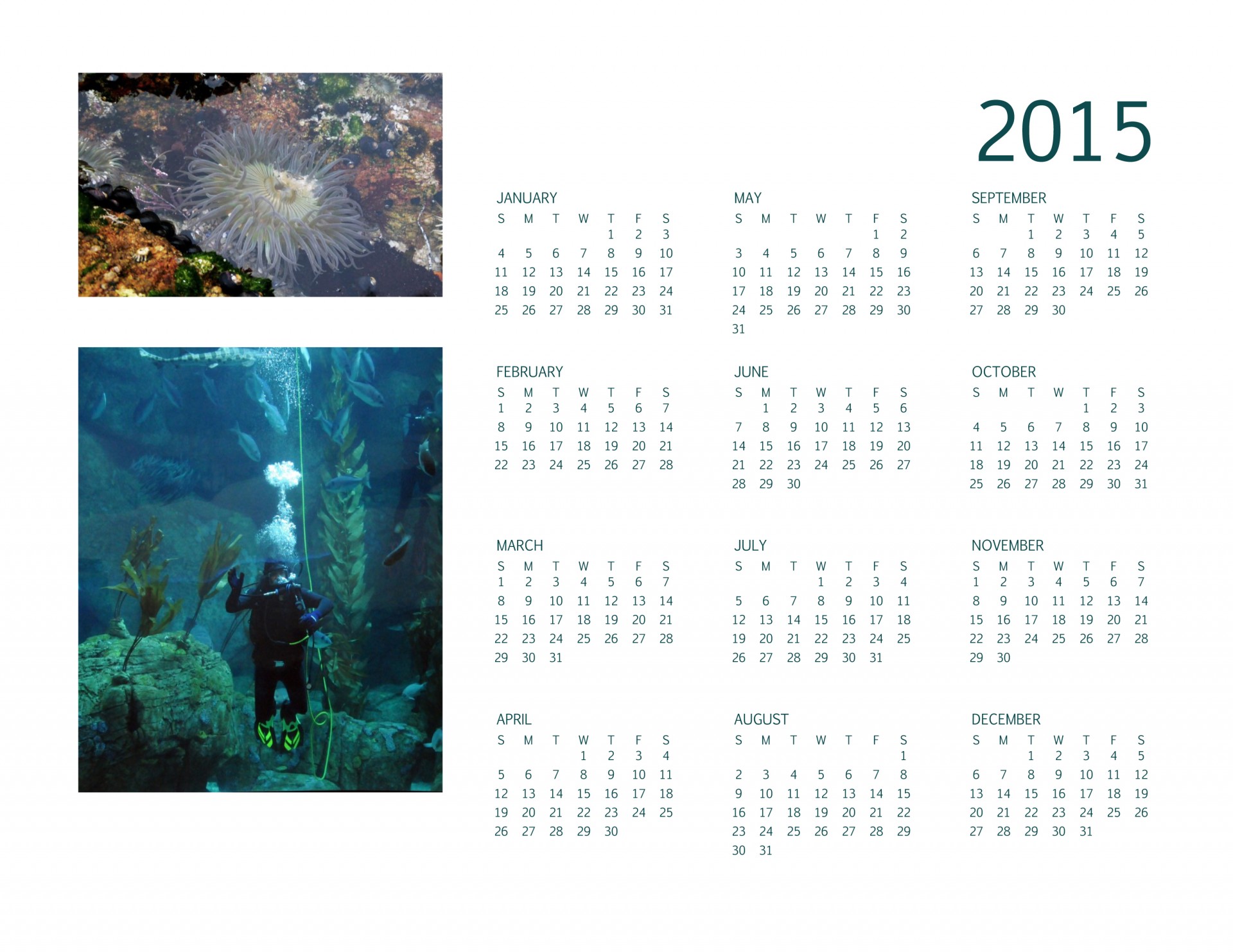 2014,  Kalendorius,  Kasmet,  Metinis,  Planuotojas,  Akvariumas,  Tidepool,  Naras,  Organizatorius,  Dienoraštis