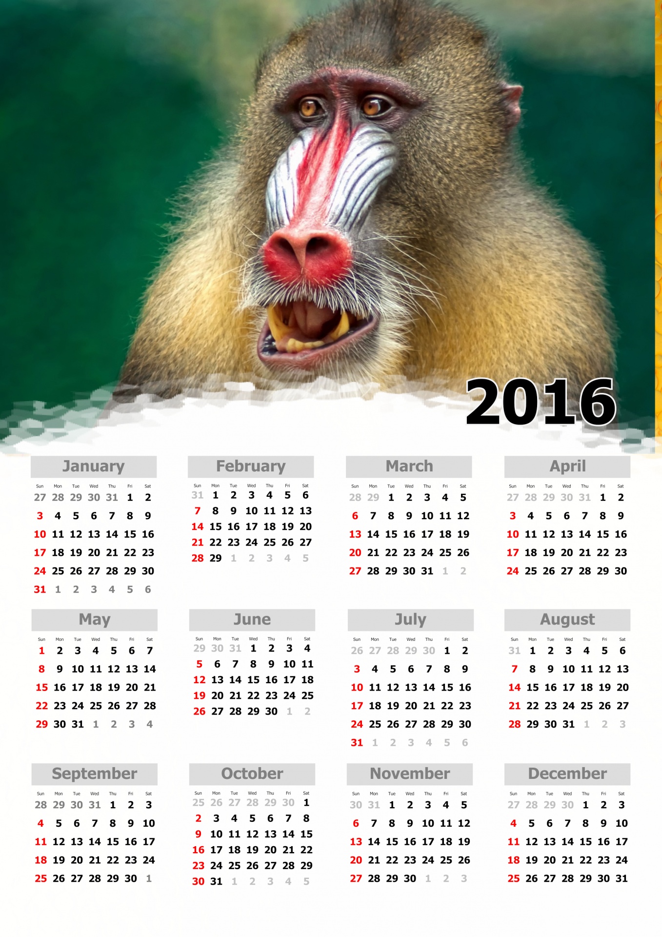 Beždžionė,  2016,  Rugpjūtis,  Verslas,  Kalendorius,  Data,  Diena,  Gruodžio Mėn .,  Dizainas,  Įvykis