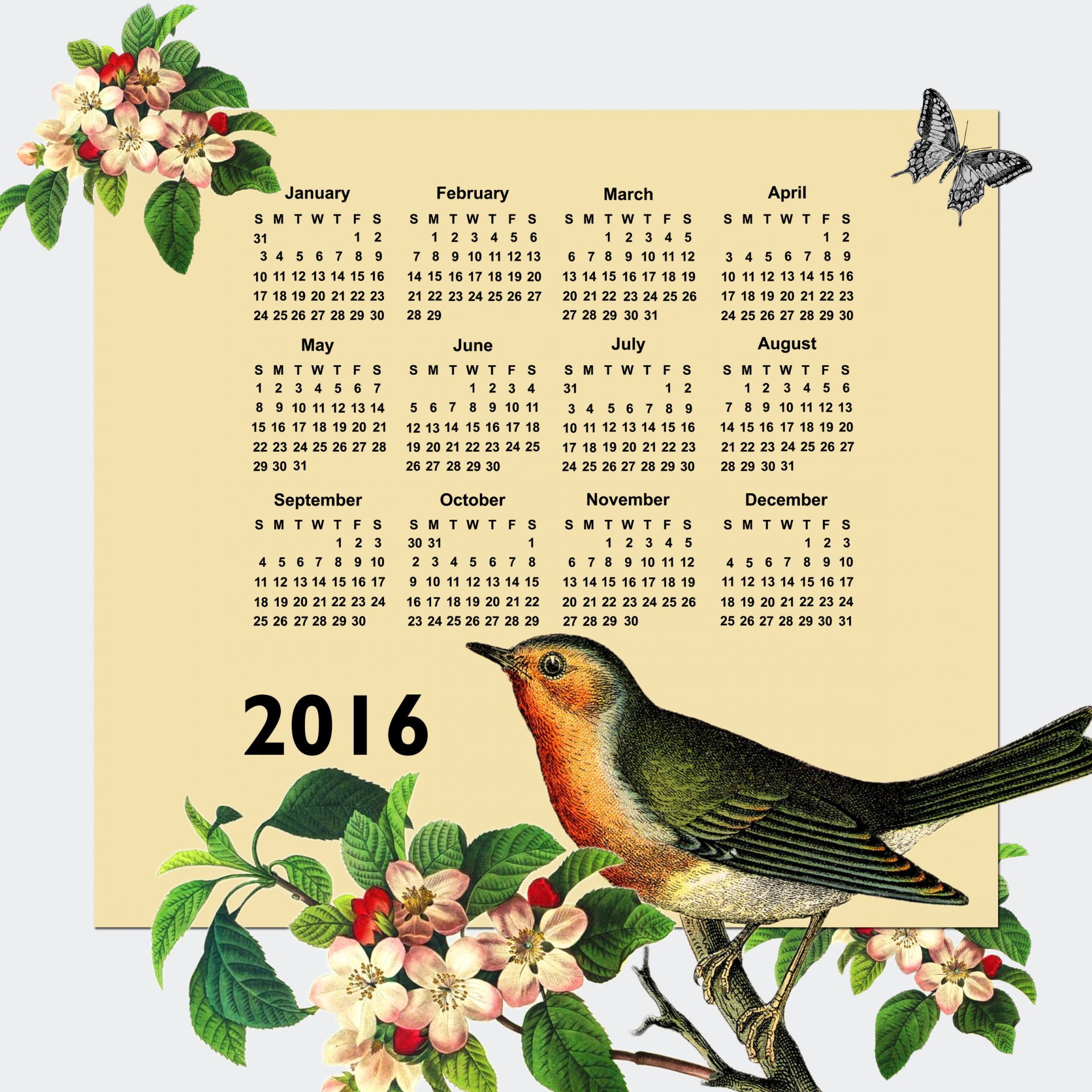 2016 & Nbsp,  Kalendorius,  Kalendorius,  2016,  Vintage,  Paukštis,  Žiedas,  Gėlės,  Gėlių,  Gražus