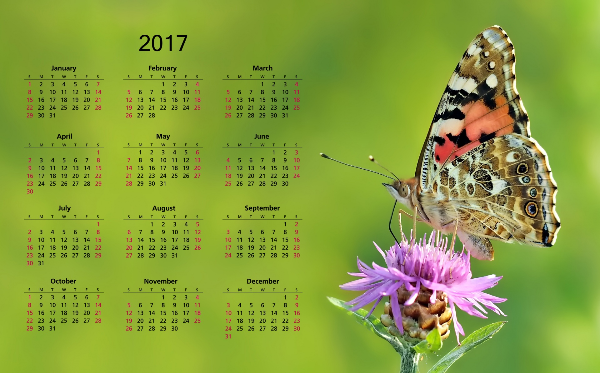 2017 & Nbsp,  Kalendorius,  2017,  Kalendorius & Nbsp,  2017,  Kalendorius,  Šablonas,  Spausdinama,  Metai,  Data