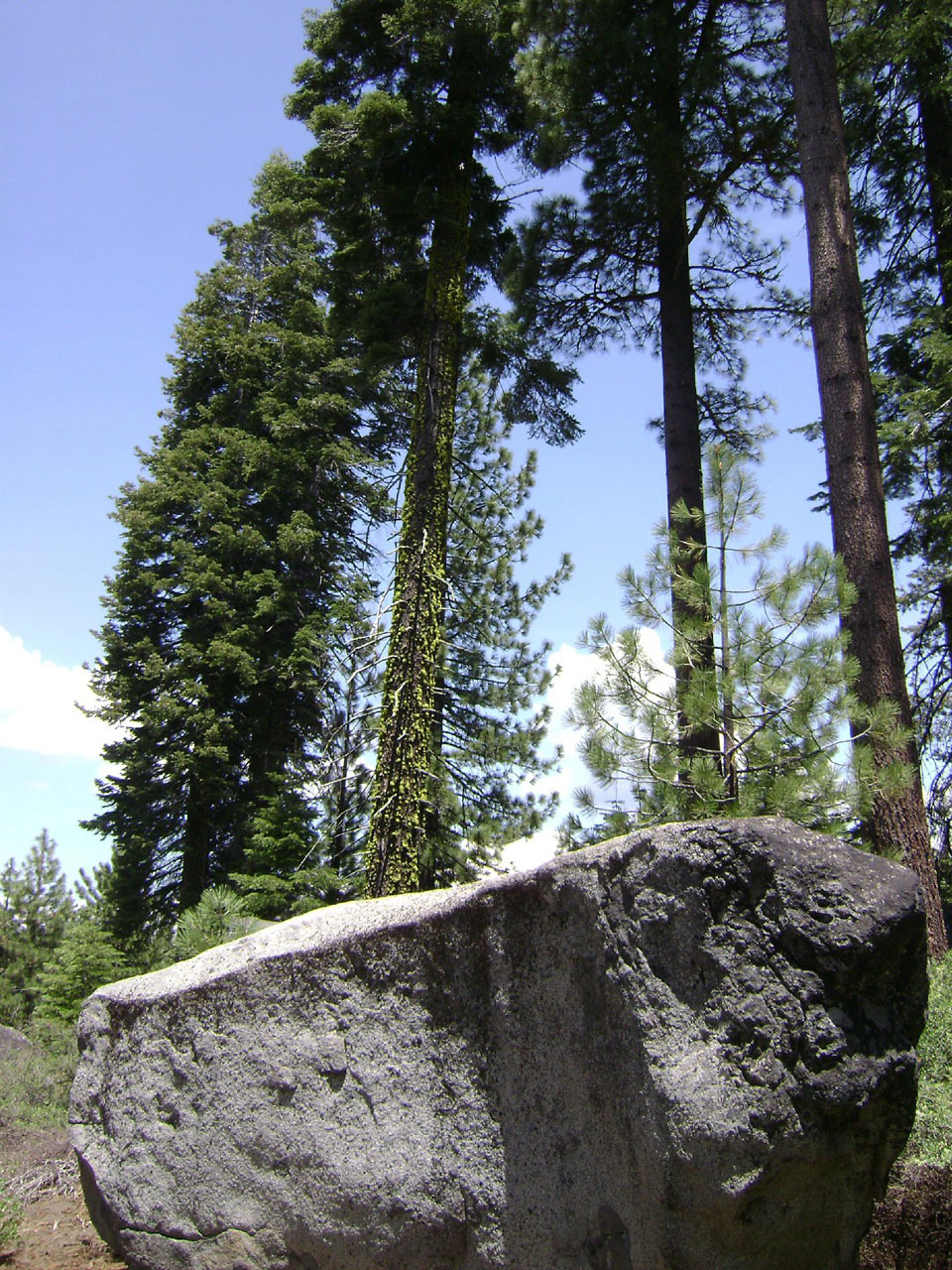Akmenys,  Medžiai,  Ežeras 730 M, Nemokamos Nuotraukos,  Nemokama Licenzija