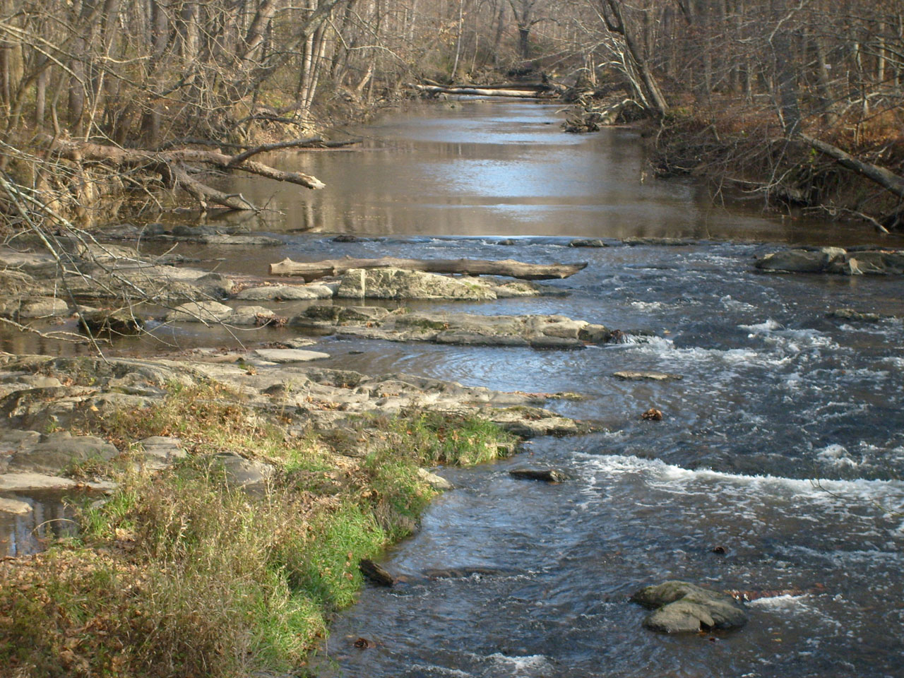 Upelis,  Srautas,  Vanduo,  Akmenys,  Slenksčiai,  Creek Rapids, Nemokamos Nuotraukos,  Nemokama Licenzija