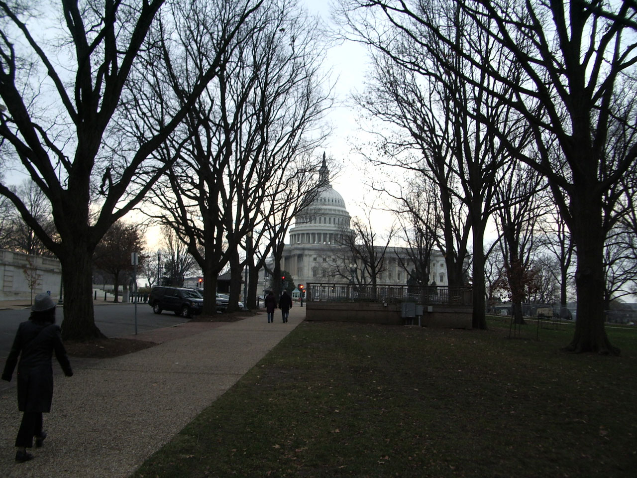 Capitol,  Washington & Nbsp,  Dc,  Žmonės,  Capitol, Nemokamos Nuotraukos,  Nemokama Licenzija