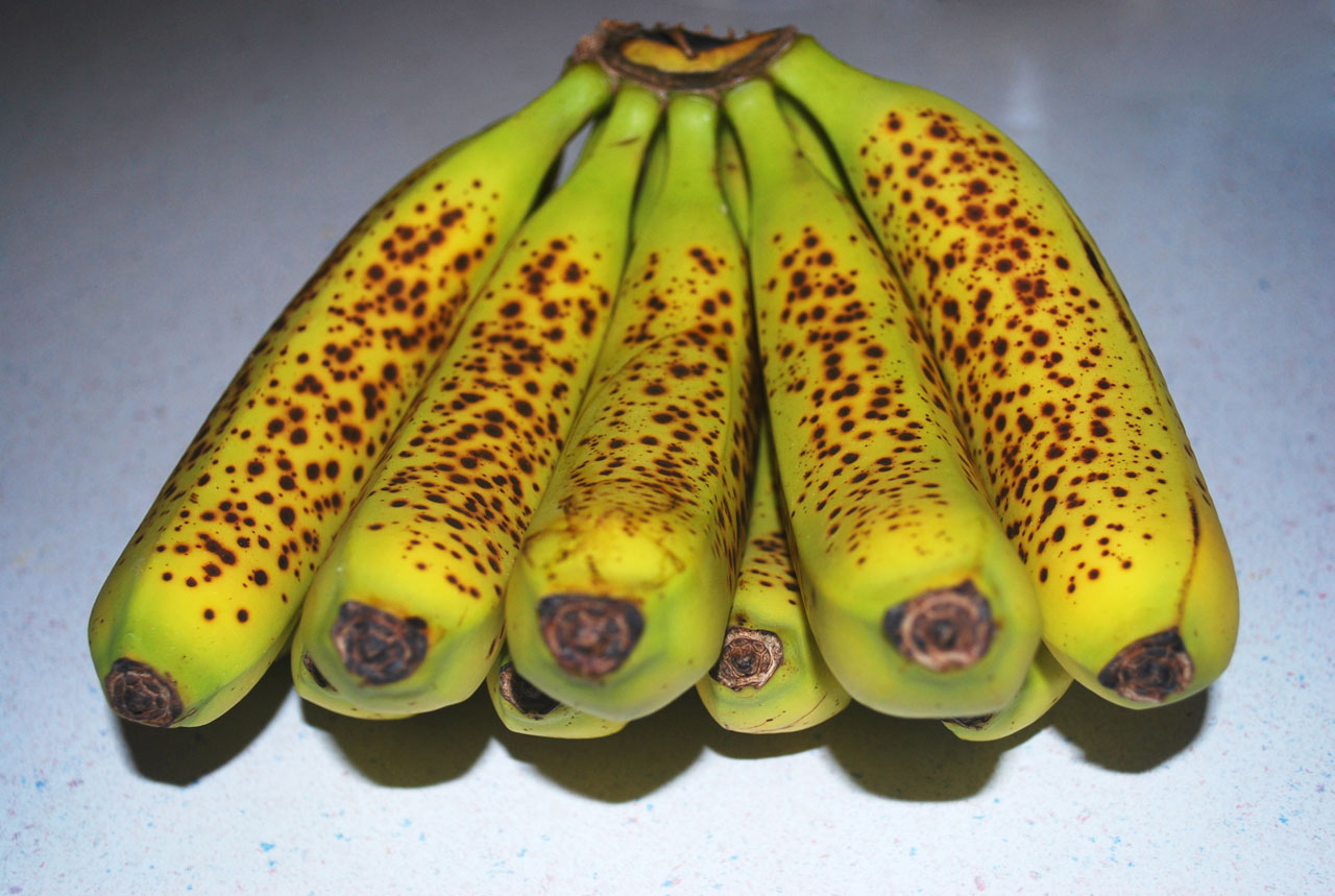 Bananai,  Dėmės,  Krūva,  Vaisiai,  Dėmėti Bananai, Nemokamos Nuotraukos,  Nemokama Licenzija