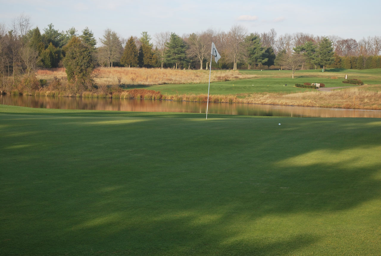 Golfas,  Žalias,  Žinoma,  Rutulys,  Vėliava,  Sportas,  Žolė,  Žalia, Nemokamos Nuotraukos,  Nemokama Licenzija