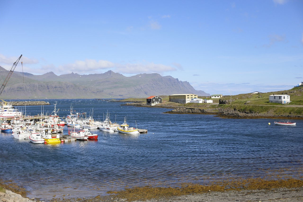 Žvejų Kaimelis, Vandenynas, Iceland, Nemokamos Nuotraukos,  Nemokama Licenzija