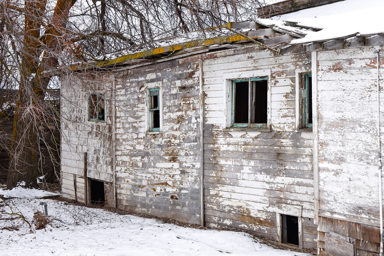 Atsisakyta,  Namas,  Metai,  Mediena,  Architektūra,  Shack,  Medinis,  Atgal Kelių,  Ellensburg,  Šalis