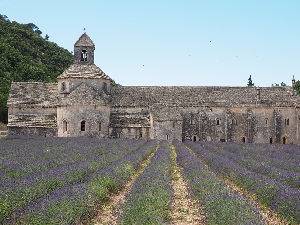 Abbaye De Sénanque, Vienuolynas, Abatija, Notre Dame De Sénanque, Cistercianų Tvarka, Gordes, Vaucluse, France, Cistersų Vienuoliai, Sénanque Abatija