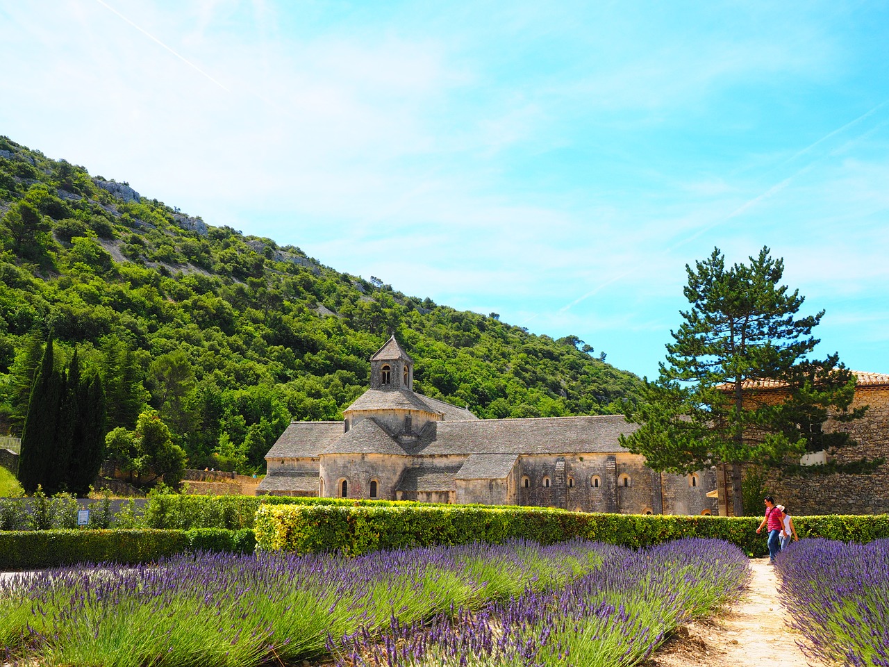 Abbaye De Sénanque, Vienuolynas, Abatija, Notre Dame De Sénanque, Cistercianų Tvarka, Gordes, Vaucluse, France, Cistersų Vienuoliai, Sénanque Abatija