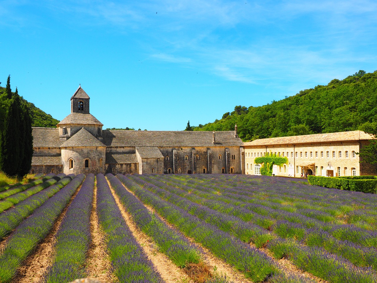 Abbaye De Sénanque, Vienuolynas, Abatija, Notre Dame De Sénanque, Cistercianų Tvarka, Dormitorium, Abatija Bažnyčia, Vienuolynas, Calefactorium, Brolių Kambarys