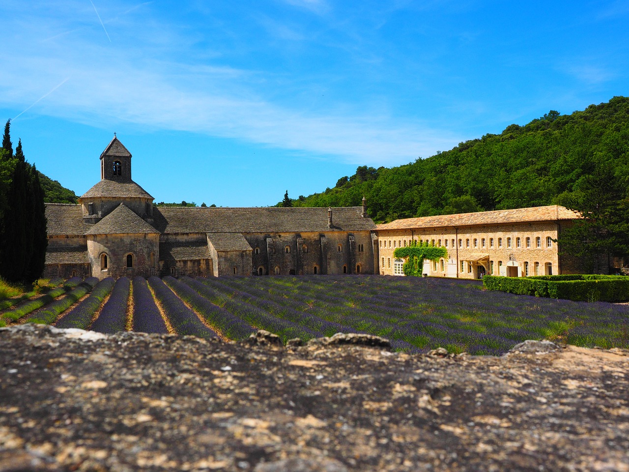 Abbaye De Sénanque, Vienuolynas, Abatija, Notre Dame De Sénanque, Cistercianų Tvarka, Gordes, Vaucluse, France, Cistersų Vienuoliai, Sénanque Abatija