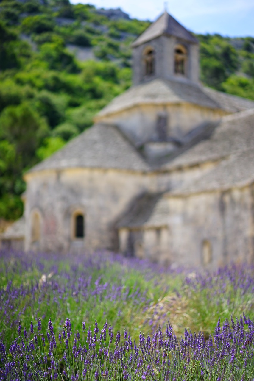 Abbaye De Sénanque, Vienuolynas, Abatija, Notre Dame De Sénanque, Cistercianų Tvarka, Gordes, Vaucluse, France, Cistersų Vienuoliai, Sénanque Abatija