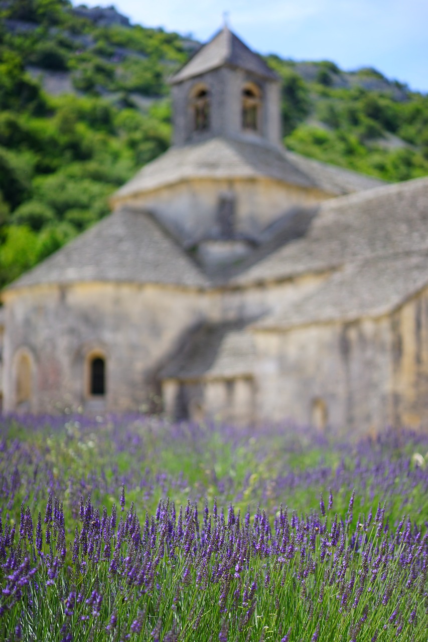 Abbaye De Sénanque, Vienuolynas, Abatija, Notre Dame De Sénanque, Cistercianų Tvarka, Gordes, Vaucluse, France, Cistersų Vienuoliai, Sénanque Abatija