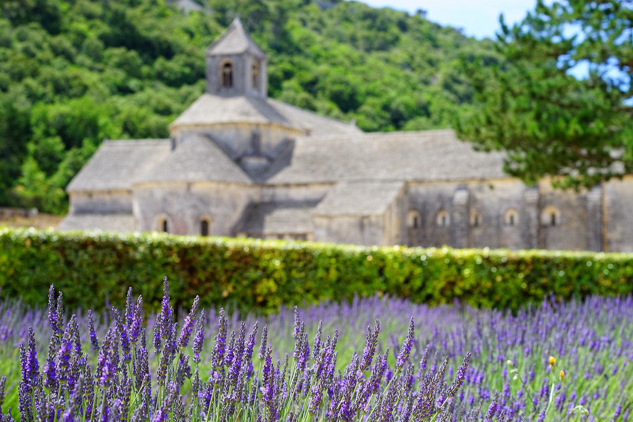 Abbaye De Sénanque, Vienuolynas, Abatija, Notre Dame De Sénanque, Cistercianų Tvarka, Gordes, Vaucluse, France, Cistersų Vienuoliai, Sénanque Abatija