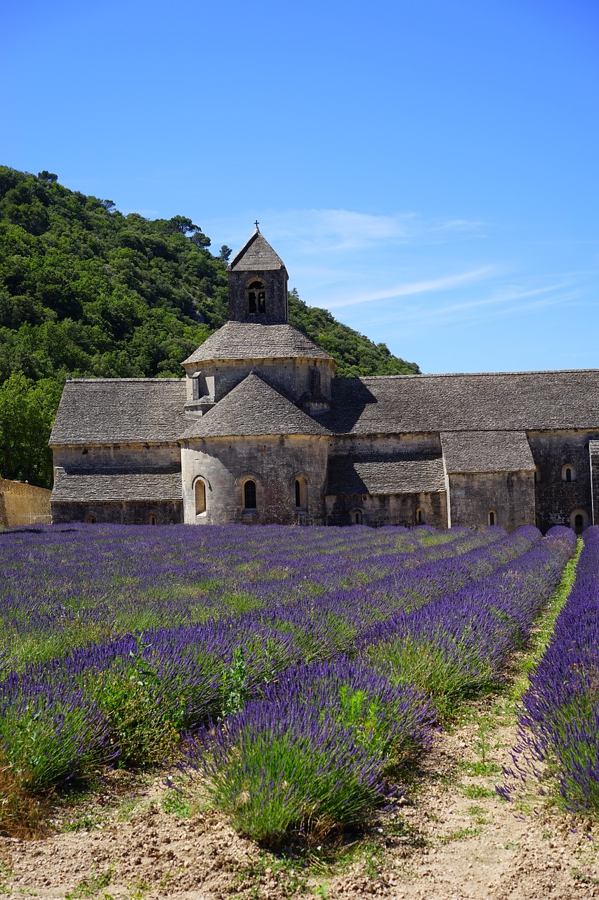 Abbaye De Sénanque, Vienuolynas, Abatija, Notre Dame De Sénanque, Cistercianų Tvarka, Gordes, Vaucluse, France, Cistersų Vienuoliai, Sénanque Abatija