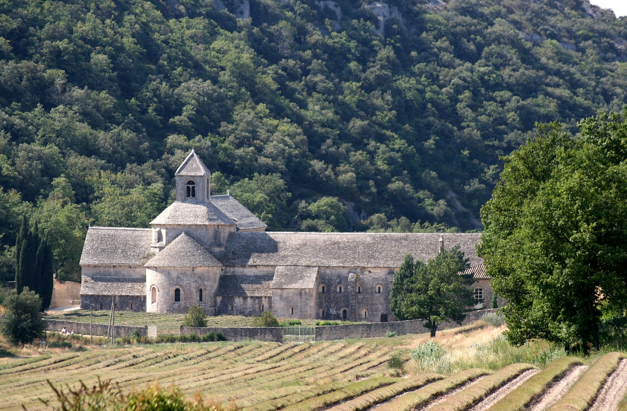 Abatija, Sénanque, Notre Dame De Sénanque, Vienuolynas, Levanda, Mėlynas, Cistercianų Tvarka, Gordes, Vaucluse Departamentas, France