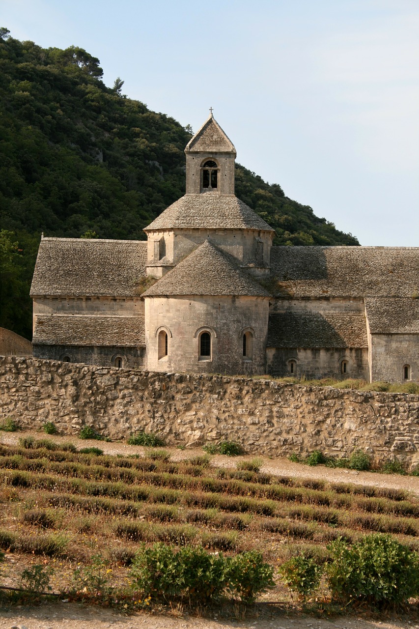 Abatija Bažnyčia, Abatija, Sénanque, Notre Dame De Sénanque, Vienuolynas, Levanda, Mėlynas, Cistercianų Tvarka, Gordes, Vaucluse Departamentas