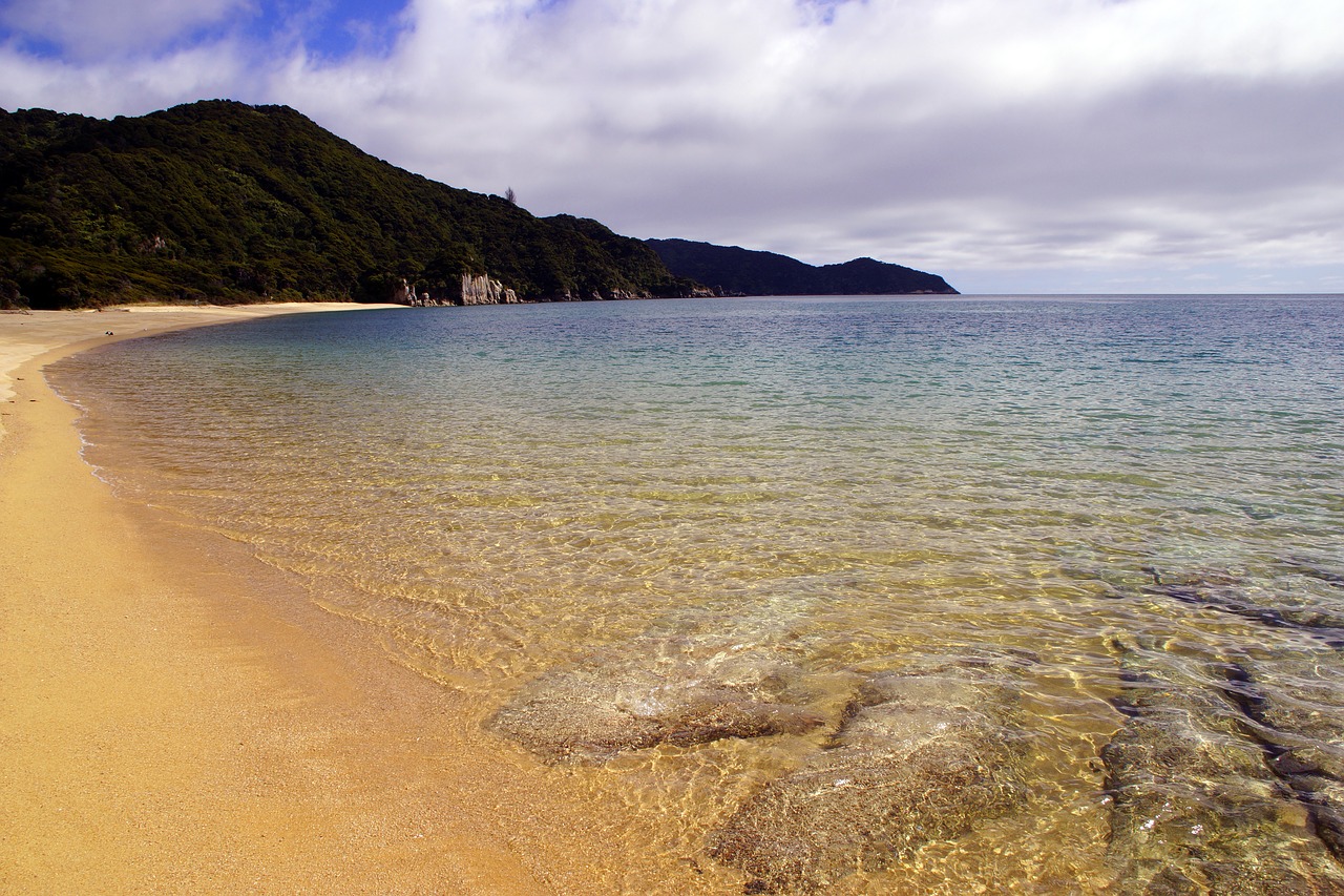 Abel Tasman,  Nacionalinis Parkas,  Naujoji Zelandija,  Abel,  Papludimys,  Jūra,  Rokas,  Džiunglės,  Pakrantės,  Vandens