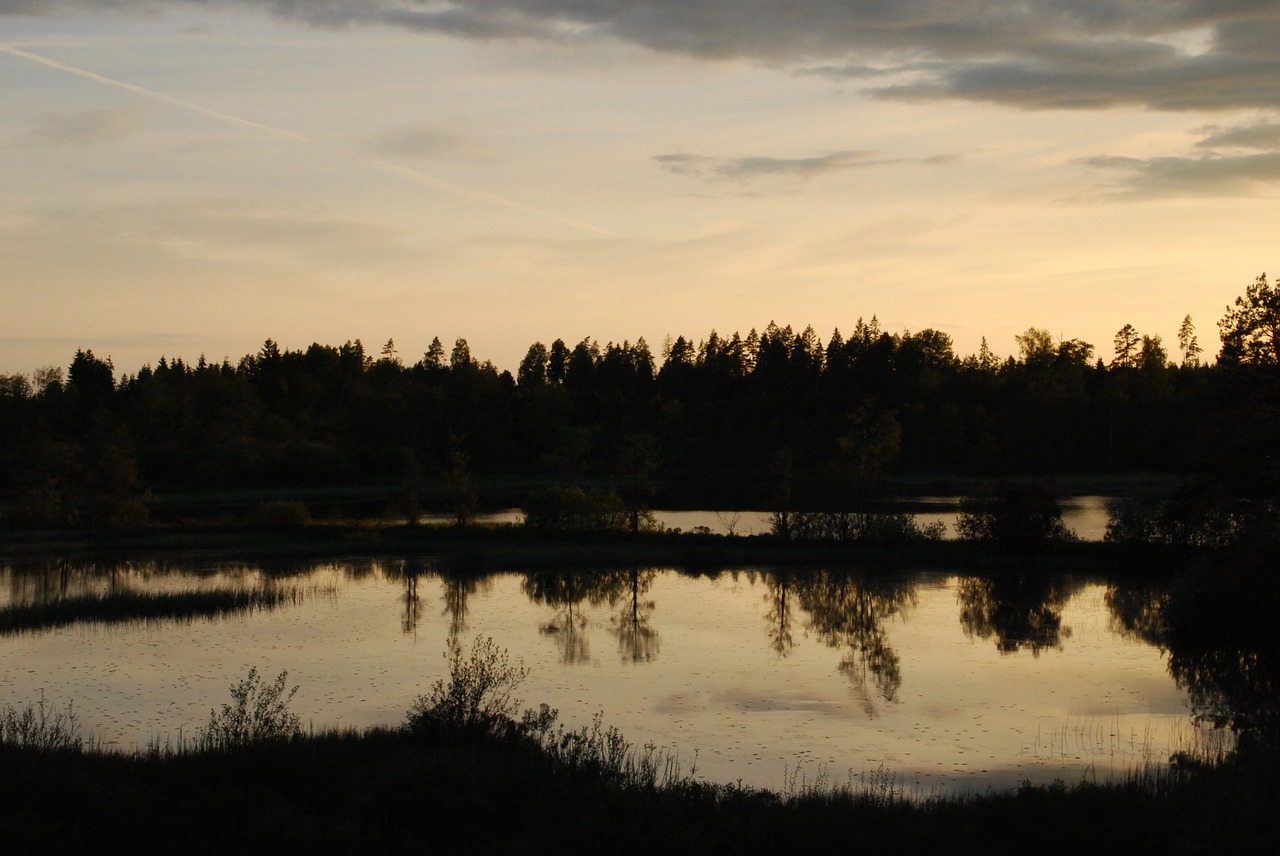 Abendstimmung, Veidrodis, Vanduo, Ežeras, Atmosfera, Gamta, Švedija, Lichtspiel, Nemokamos Nuotraukos,  Nemokama Licenzija