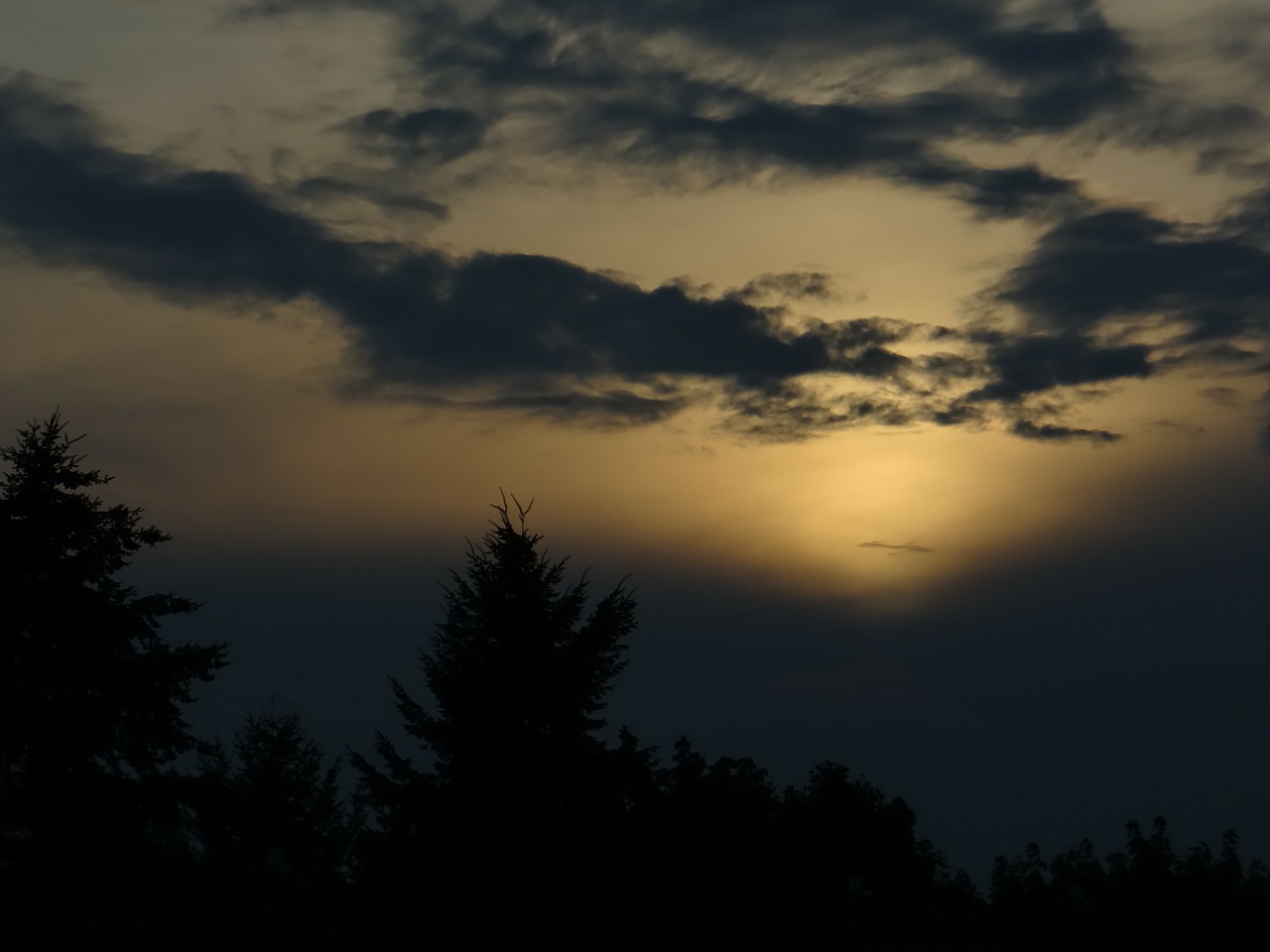 Abendstimmung, Naktis Miške, Romantika, Svajones, Nemokamos Nuotraukos,  Nemokama Licenzija