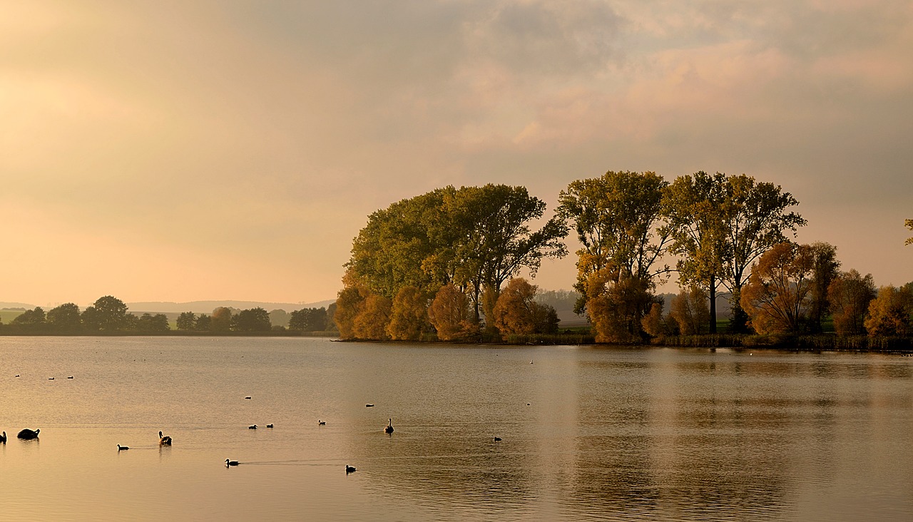 Abendstimmung, Tvenkinys, Ruduo, Oranžinis Dangus, Nuotaika, Nemokamos Nuotraukos,  Nemokama Licenzija