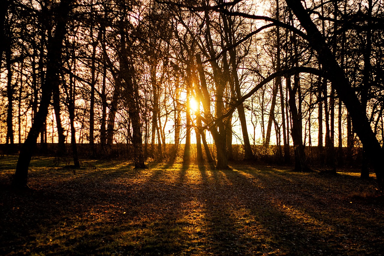 Abendstimmung, Šviesa, Auksinė Valanda, Saulėlydis, Žibintai, Lichtspiel, Saulė, Dusk, Romantiškas, Atmosfera