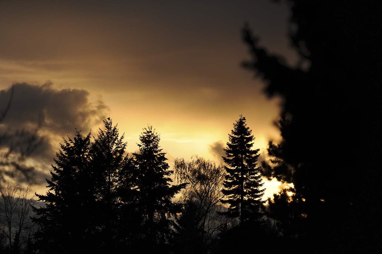 Abendstimmung, Vakaras, Saulėlydis, Debesys, Dangus, Dusk, Nuotaika, Kraštovaizdis, Vakarinis Dangus, Romantiškas