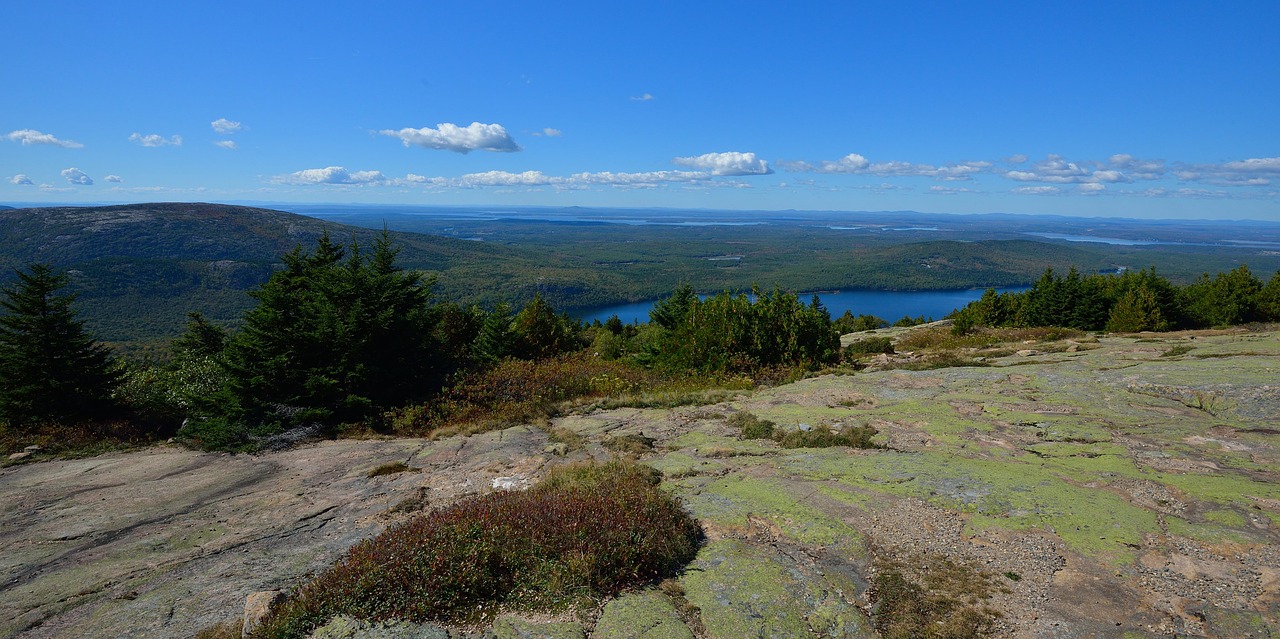 Akadija, Maine, Lauke, Kraštovaizdis, Usa, Nemokamos Nuotraukos,  Nemokama Licenzija