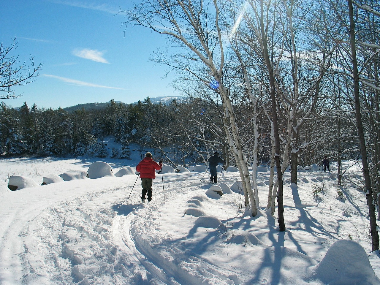 Akadijos Nacionalinis Parkas, Maine, Kraštovaizdis, Žiema, Sniegas, Ledas, Dangus, Debesys, Miškas, Medžiai