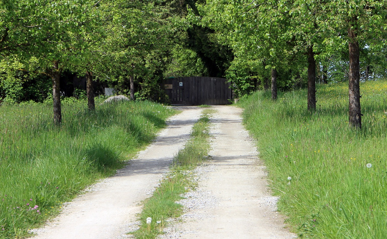 Prieiga, Važiuojamosios Kelio Dalies, Tikslas, Toli, Gamta, Pieva, Medžiai, Nemokamos Nuotraukos,  Nemokama Licenzija