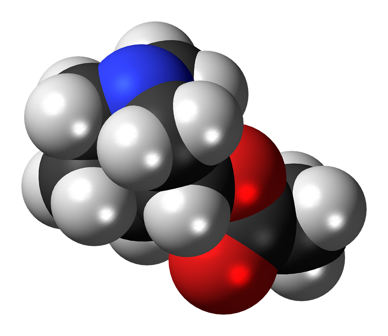 Aceklidinas, Molekulė, Struktūra, Modelis, Chemija, Tyrimai, Junginys, Klijavimas, Nemokamos Nuotraukos,  Nemokama Licenzija