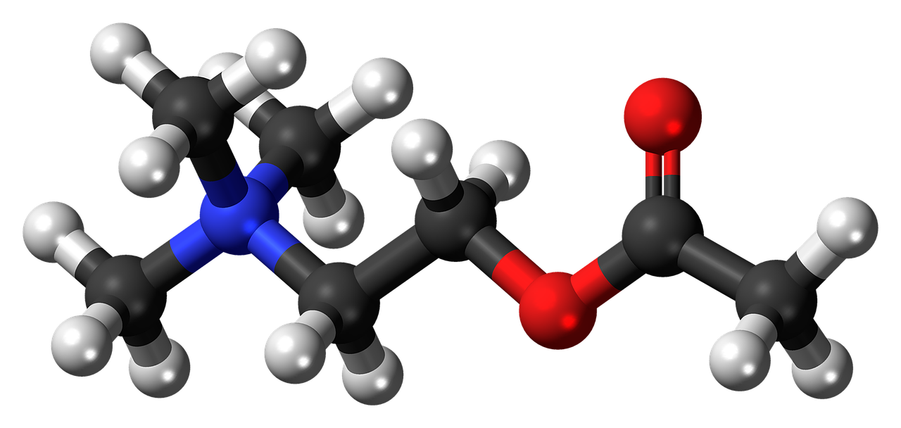 Acetilcholinas, Katijonas, Neurotransmiteris, Molekulė, Struktūra, Modelis, Chemija, Mokslas, Junginys, Atomai