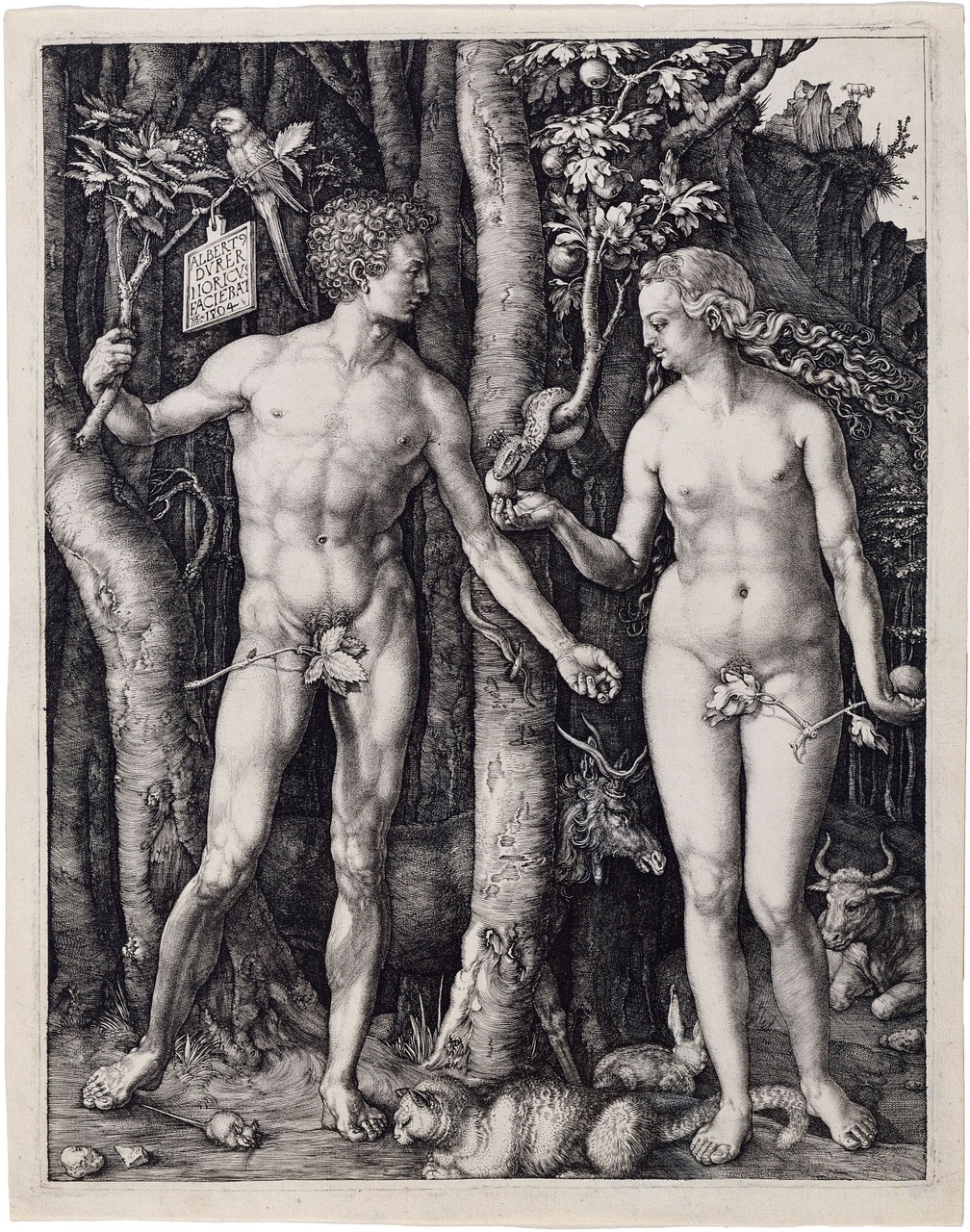 Adomas Ir Vakaras, Religija, Albrecht Dürer, 1504, Krikščionybė, Katalikų, Protestantas, Tikėjimas, Meno Kūriniai, Menas