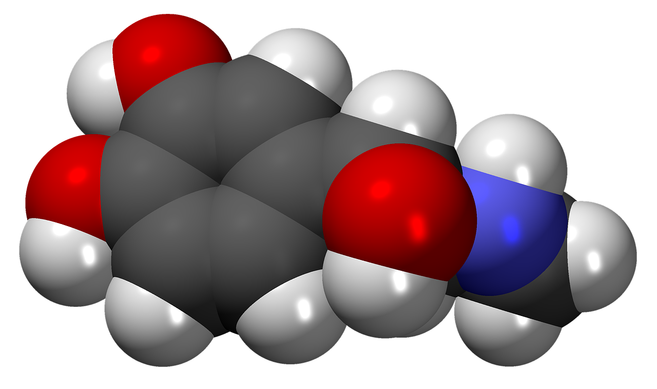 Adrenalinas, Hormonas, Neurotransmiteris, Molekulė, Modelis, Struktūra, Chemija, Mokslas, Tyrimai, Junginys