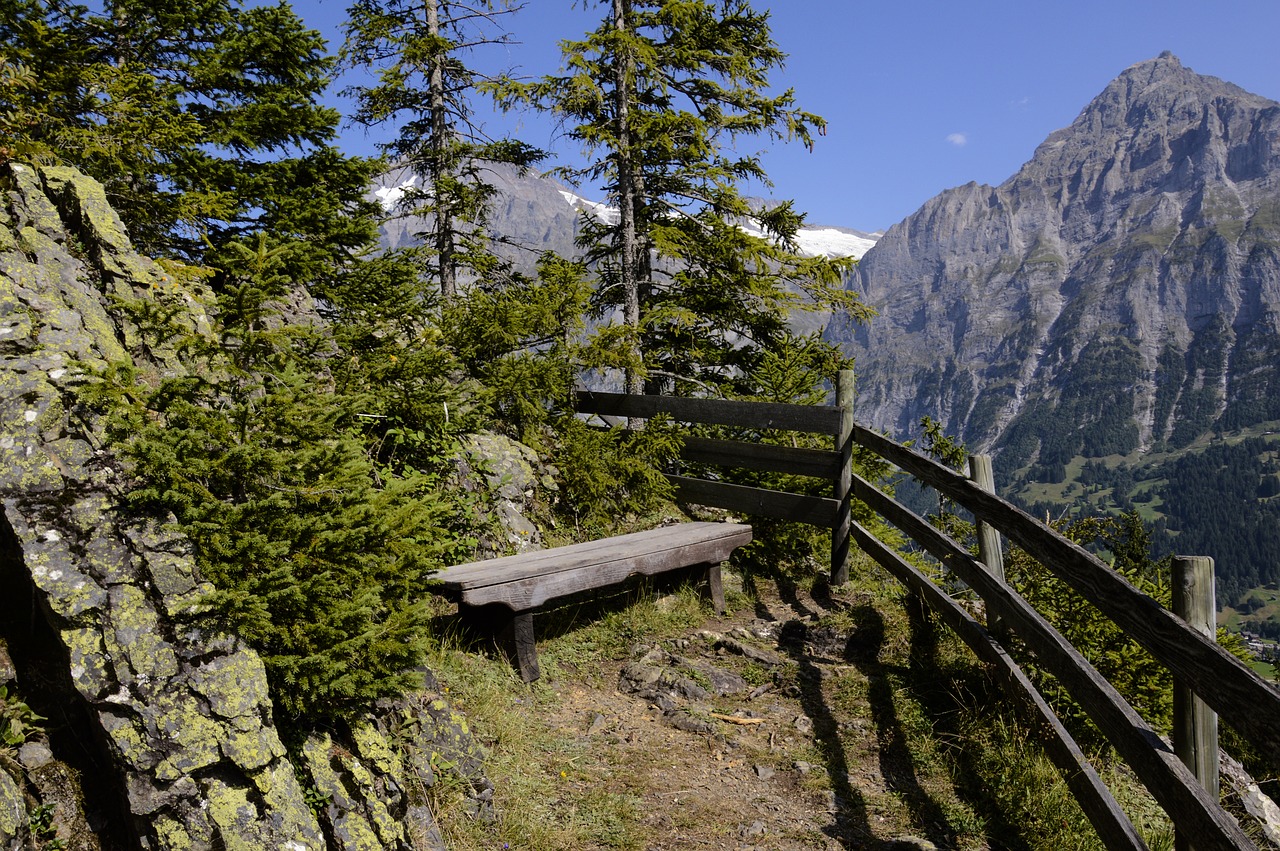 Aellfluh, Grindelwald, Wetterhorn, Swiss Alps, Šveicarija, Alpių, Dangus, Kalnai, Panorama, Kalnų Peizažas