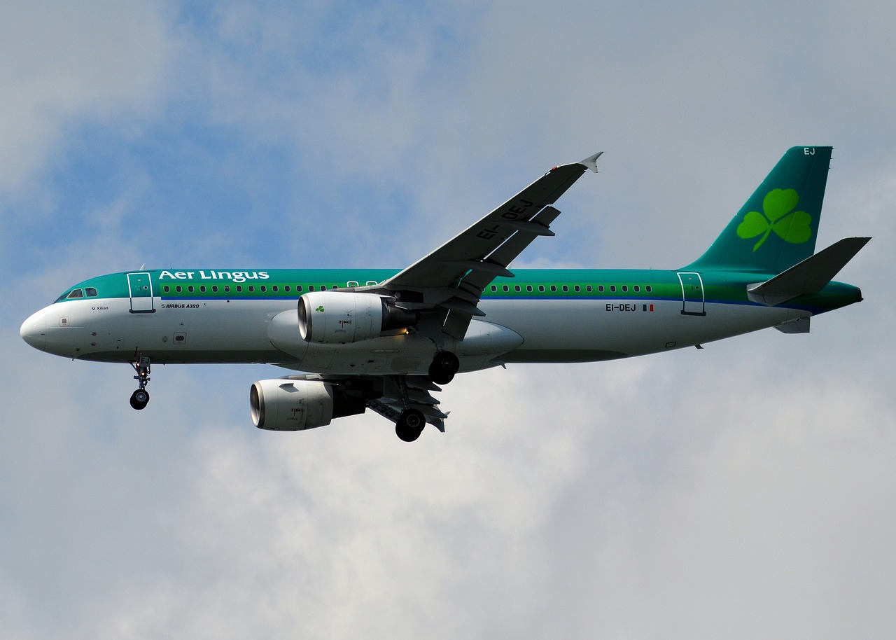 Aer Lingus, Lėktuvas, Lėktuvas, Orlaivis, Dangus, Oras, Skrydis, Kelionė, Skristi, Gabenimas