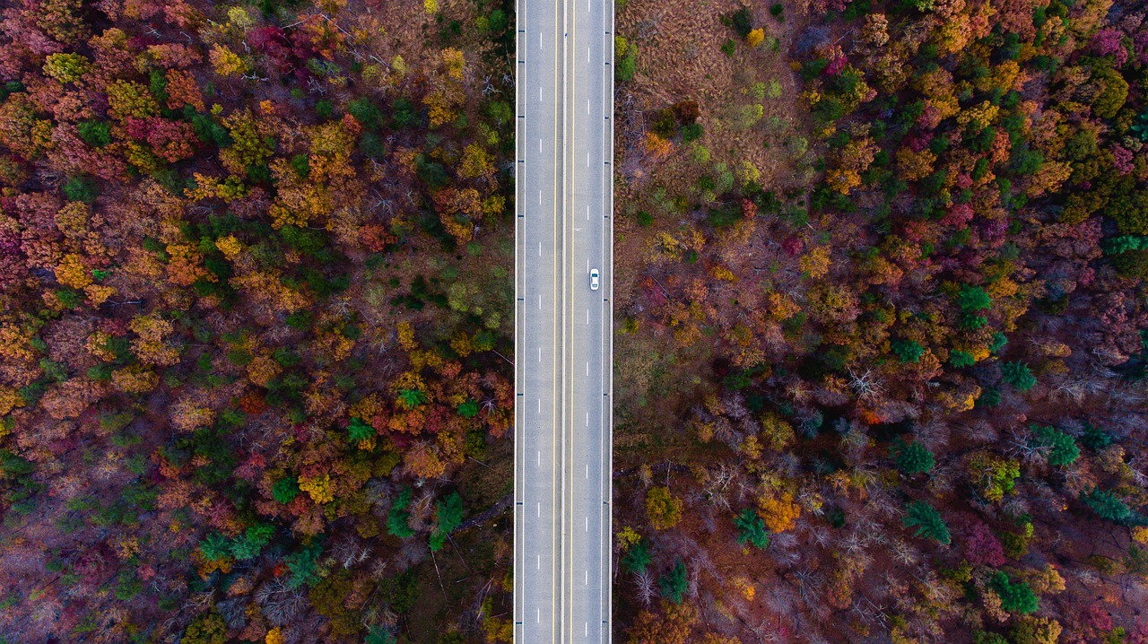 Antena, Vaizdas, Medžiai, Augalai, Kritimas, Ruduo, Gamta, Kraštovaizdis, Kelias, Automobilis