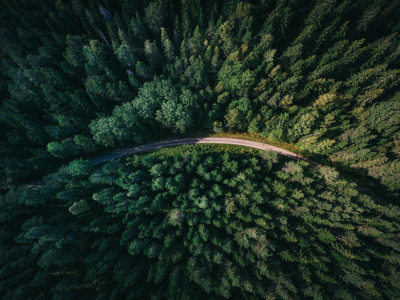 Antena, Vaizdas, Medžiai, Augalai, Miškas, Gamta, Kelias, Gatvė, Nemokamos Nuotraukos,  Nemokama Licenzija