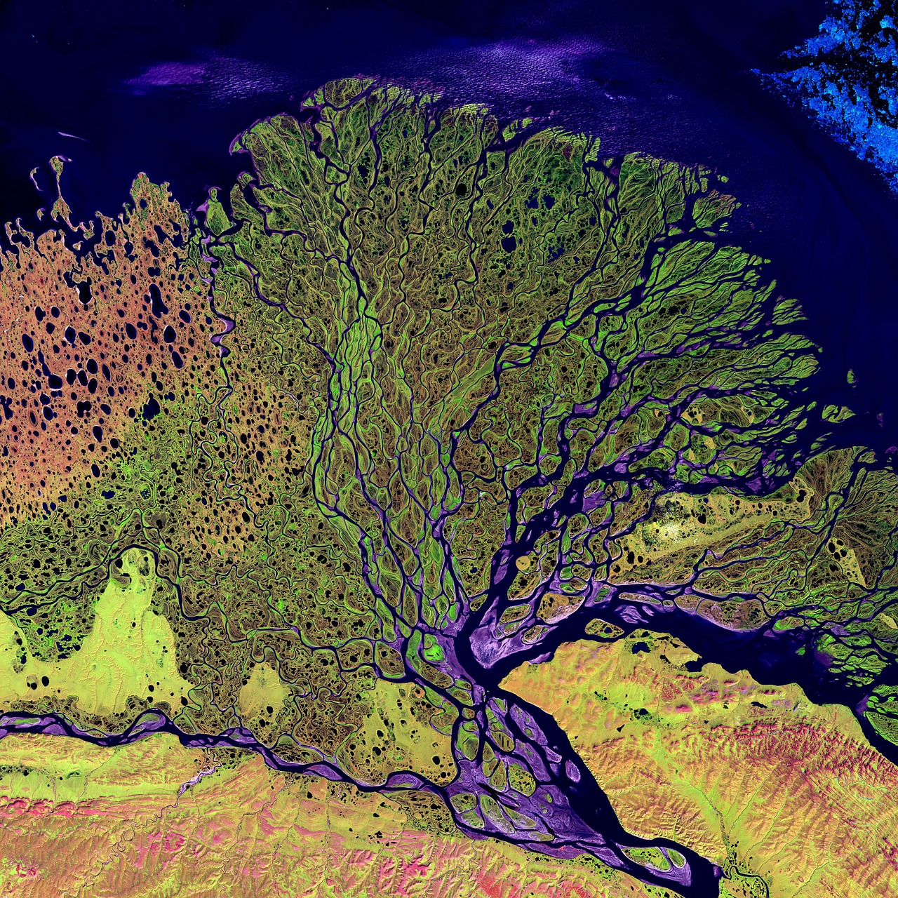 Oro Vaizdas, Palydovinis Vaizdas, Palydovinė Nuotrauka, Upės Delta, Lena, Upė, Dabartinis, Siberija, Rusija, Asija