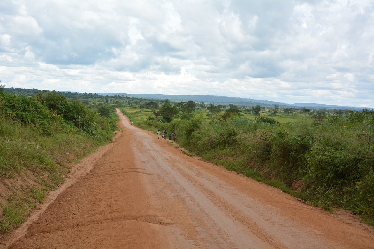 Afrika, Tanzanija, Safari, Nemokamos Nuotraukos,  Nemokama Licenzija