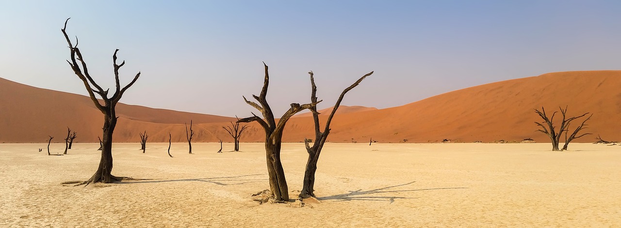 Afrika, Namibija, Kraštovaizdis, Namib Dykuma, Dykuma, Kopos, Smėlio Kopos, Sausas, Smėlis, Smėlio